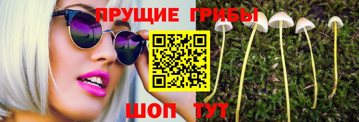 Магадан  Псилоцибиновые грибы ЛСД  Галлюциногенные грибы прущие грибы  Вход с VPN 